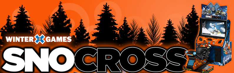 SnoCross Video Game